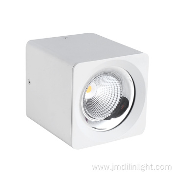 Led Exterior Ceiling Spot Light 40W